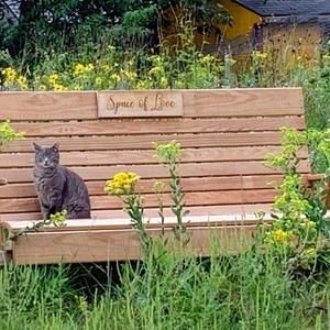 Meet your Posher, Jim